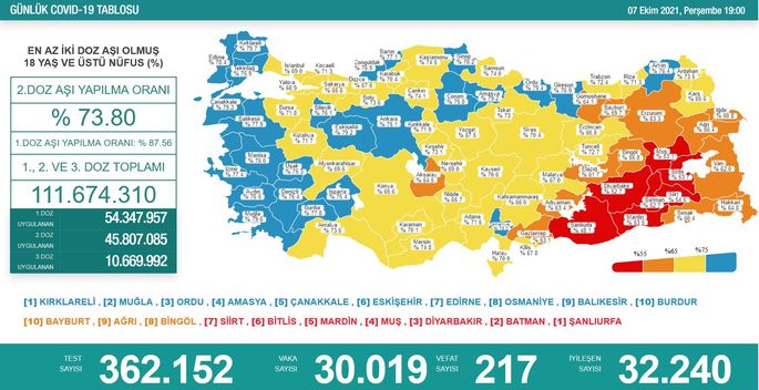 Türkiye'de 30 bin 19 kişinin testi pozitif çıktı, 217 kişi hayatını kaybetti