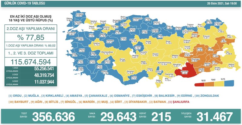 Türkiye'de 29 bin 643 kişinin Kovid-19 testi pozitif çıktı, 215 kişi hayatını kaybetti
