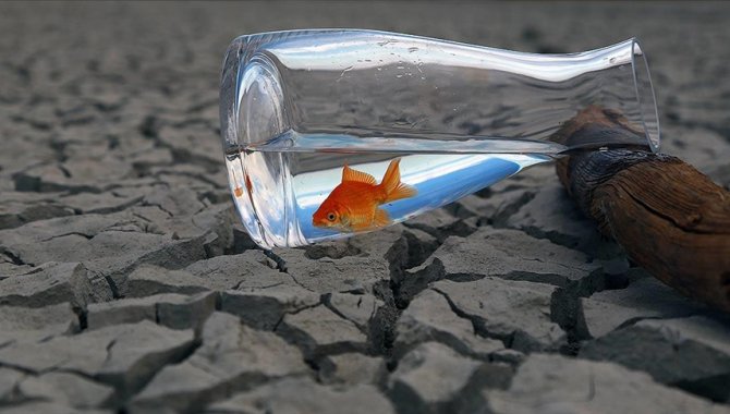 Uluslararası kuruluşlar, dünyaya "acilen su ve iklim tedbirleri alma çağrısı" yaptı