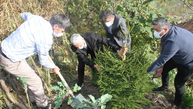 Giresun'da organları bağışlanan gencin anısına fidan dikildi