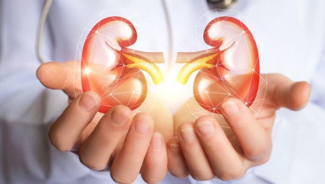 Sağlıklı Böbrek Sağlıklı Hayat Tırı