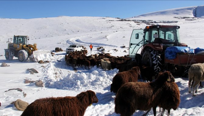 Erzurum'da kar nedeniyle mahsur kalan çoban ve sürüsü kurtarıldı