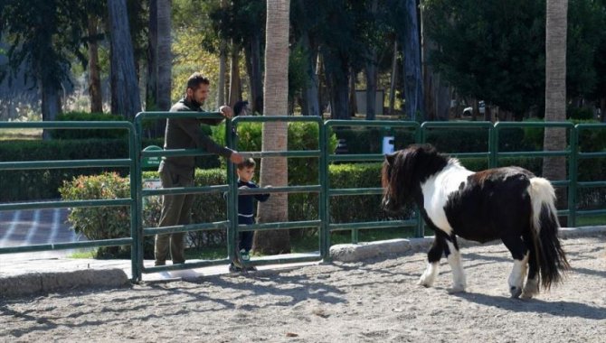 Tarsus Doğa Parkı'nın yeni yavruları ilgi odağı oldu