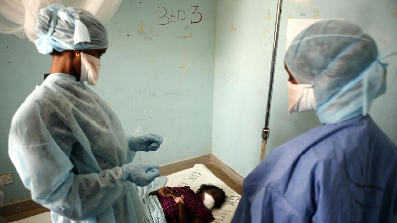 Uganda'da bir kişi Rift Vadisi hummasından hayatını kaybetti