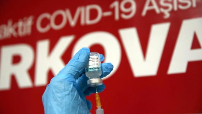 Tokat'ta 3 haftada 3 bin 126 doz TURKOVAC aşısı uygulandı