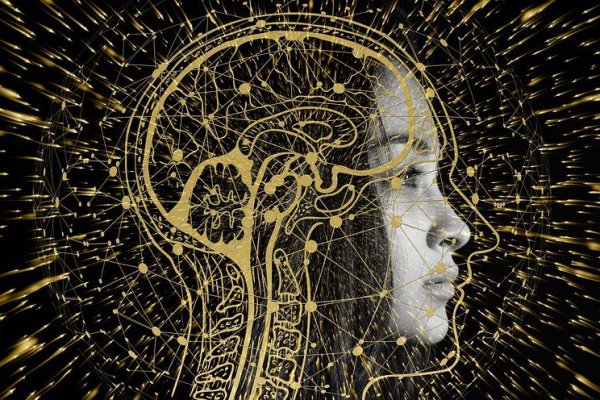 Alzheimer Hastalığı Korunma Yöntemleri 