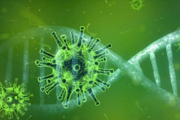 İngiltere'de Lassa ateşi kaynaklı ilk ölüm gerçekleşti