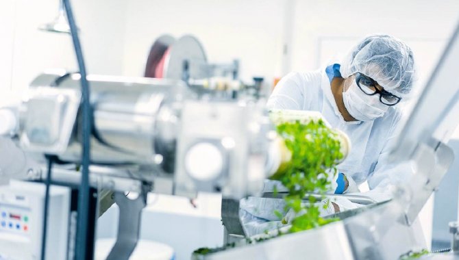 DSÖ Kanada'nın bitki bazlı Kovid-19 aşısına onay vermedi