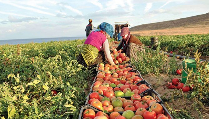 MÜSİAD Genel Başkanı Asmalı, baharda tarımdaki bollukla enflasyonun düşeceğini belirtti: