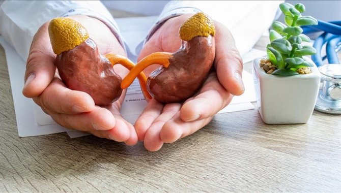 Türk Böbrek Vakfından "bayramda tercihinizi sağlıklı besinlerden yana kullanın" önerisi