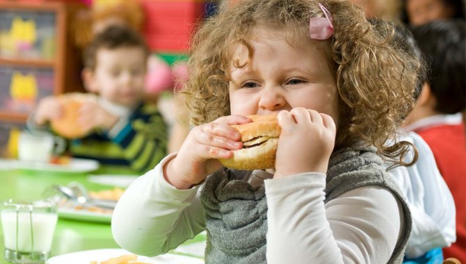 Türk Böbrek Vakfı, 10 yılda 35 ilde 1,5 milyon çocuğa obeziteyi anlattı