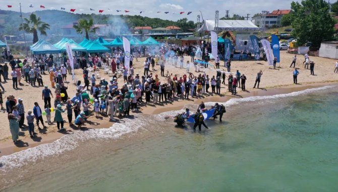 Kocaeli'de Seyrek Plajı'na mavi bayrak asıldı