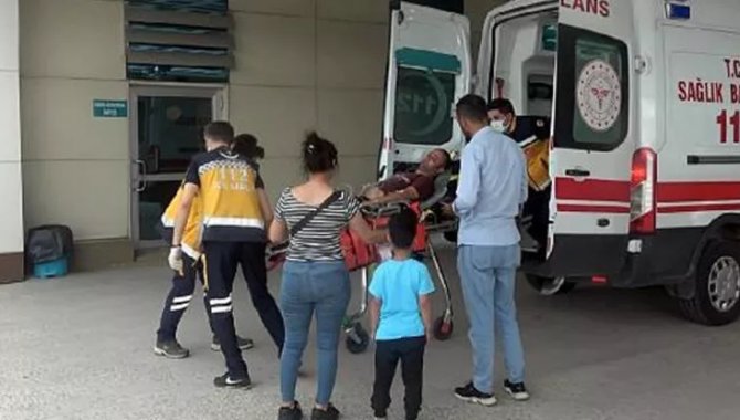 Düzce'de arıların saldırısına uğrayan kişi hastaneye kaldırıldı