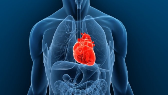 Kalp nakli sonrası organ reddinin erken teşhisi yapay zekayla sağlanacak