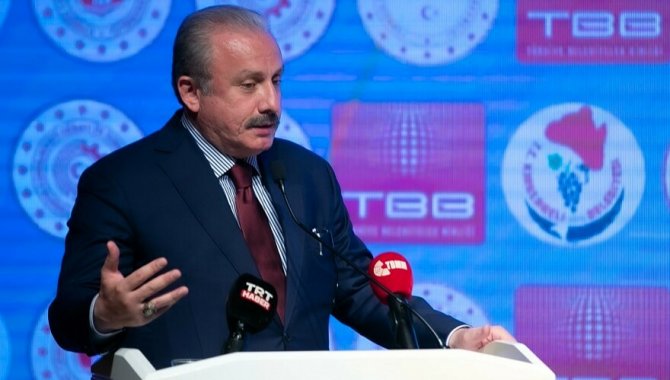 TBMM Başkanı Şentop, "Pandemi Sonrası Bölgesel Kalkınma Toplantıları"nda konuştu: