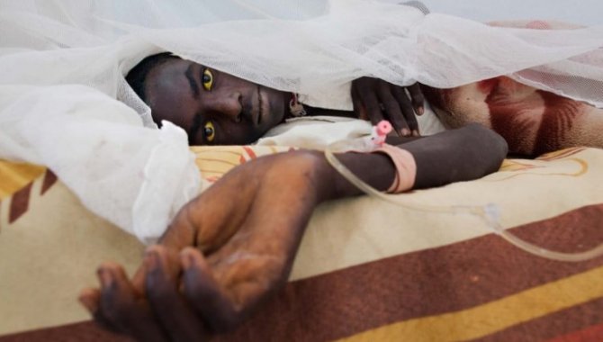 DSÖ: Nijerya'da 160 milyon kişi sarıhumma riski altında