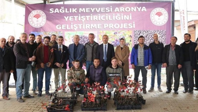 İznik’in Bereketi, Sağlık Meyvesi Aronya İle Buluşuyor