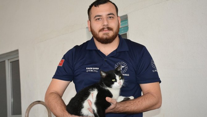 Bitlis'te sekerek acil servise giden kediye hastane personeli sahip çıktı