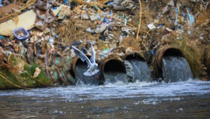 Irak’ta Dicle Nehri’ndeki kirlilik yaşamı tehdit ediyor