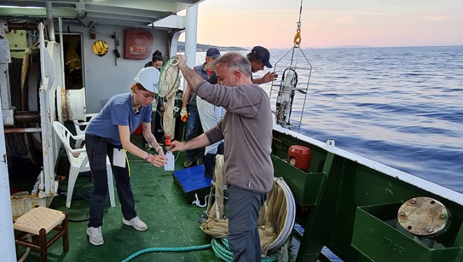 İstanbul Üniversitesi, Karaburun Ildır Körfezi'nde denizel biyoçeşitliliği araştırıyor