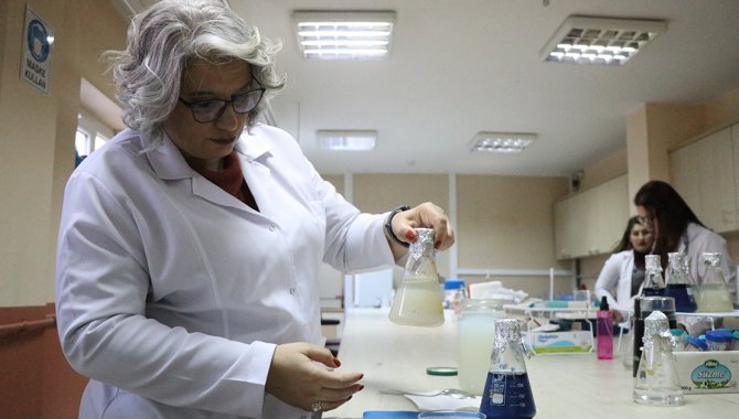 Faydalı bakteri barındıran "boncuklar" ile atık sular arıtılacak