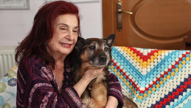 Ankara'daki Alman kurdu kırması "Zeynep", "hayattaki en yaşlı köpek" unvanına aday