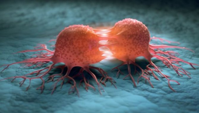 Kanserden Korunmanın Yolları Bu Seminerde Anlatılacak