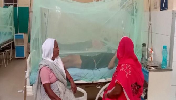 Peru'da dang humması vakalarında artış nedeniyle 13 bölgede acil durum ilan edildi