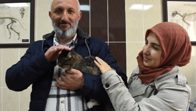 Enkazdan çıkarılan kedileri "Nane" için İzmir'den Malatya'ya döndüler