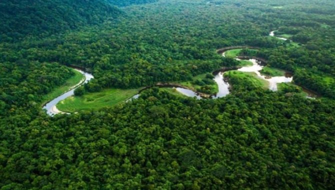 Araştırma: Amazon ormanları her yıl 15 milyondan fazla hastalık vakasını önlüyor