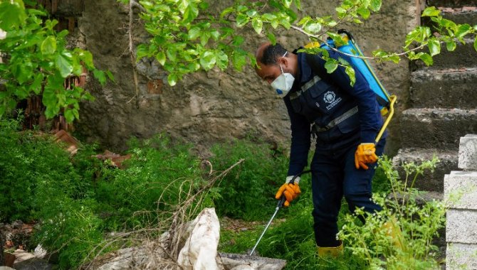 Diyarbakır'da haşerelere karşı ilaçlama sürüyor