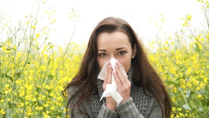 Küresel ısınma polen mevsimini uzatarak alerjiyle geçen günleri artırıyor