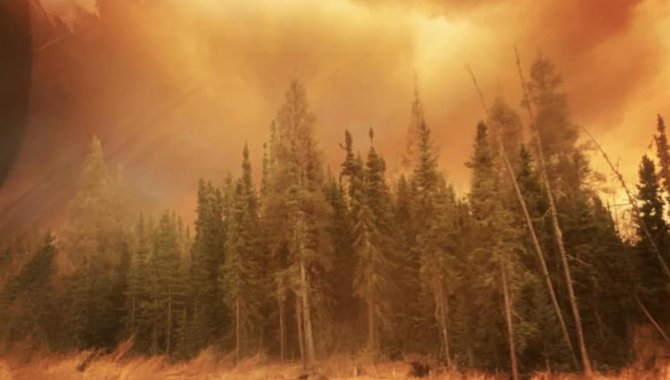 Kanada'nın Alberta eyaletinde orman yangınları nedeniyle olağanüstü hal ilan edildi