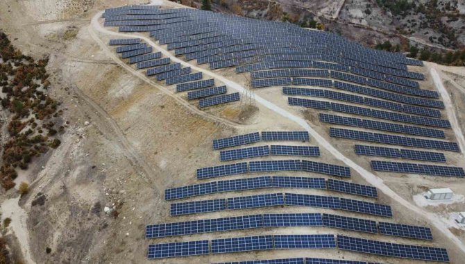 Hayat, Enerjisini Güneşten Alıyor