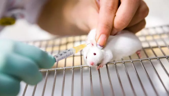 Kanada, kozmetik ürünlerin hayvanlar üzerinde test edilmesini yasakladı