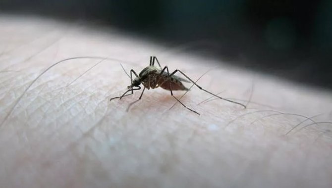 Bahçelievler Belediyesi, sivrisinekle mücadelesini sürdürüyor