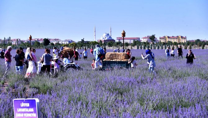 Karatay Lavanta Bahçesi Konya basınını ağırladı