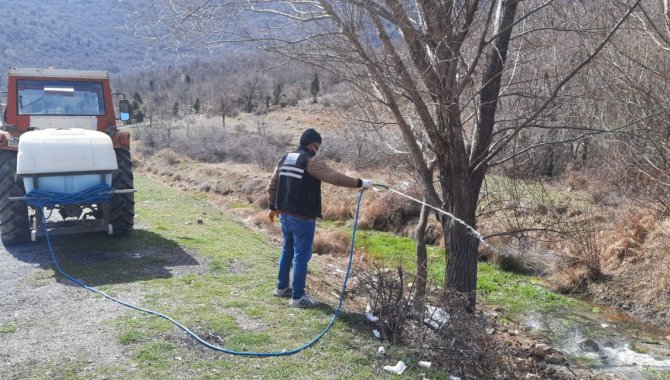 Seydişehir'de sivrisinekle mücadele