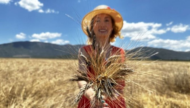Doktor çift kanser hastalarına yönelik "karakılçık buğdayı" üretiyor