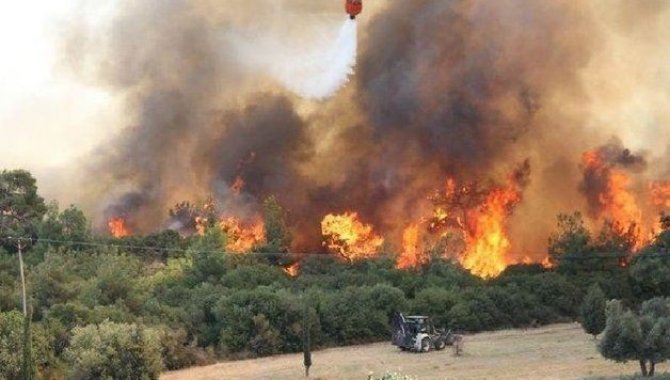 Çanakkale'deki orman yangınlarından etkilenen 61 kişiden 4'ünün tedavisi devam ediyor