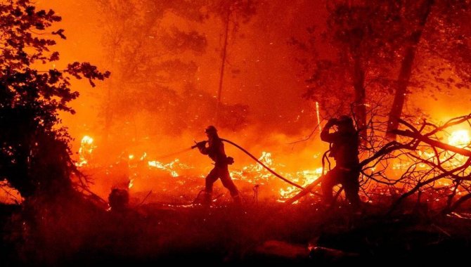 Astım Ve Koah Hastalarına, ’Orman Yangınlarından Uzak Durun’ Uyarısı