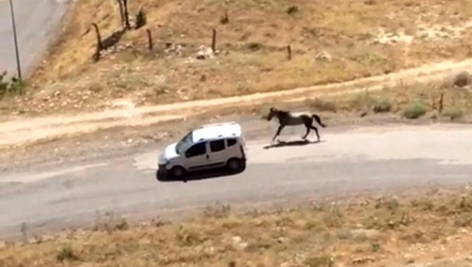 Elazığ'da hareket halindeki araca at bağlayan kişiye para cezası
