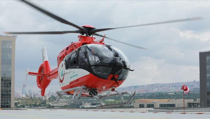 Van'da arı sokması sonucu rahatsızlanan kişi ambulans helikopterle hastaneye ulaştırıldı