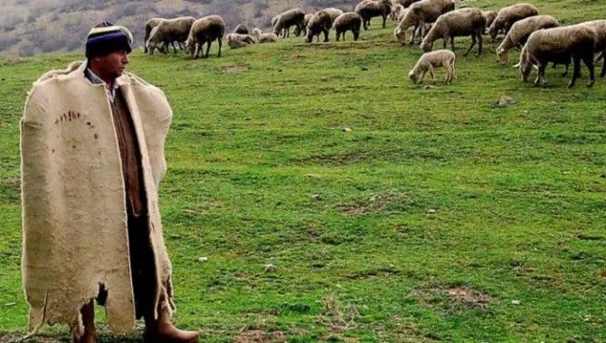 Bulgaristan’da “Çoban Akademisi” ilk mezunlarını verdi