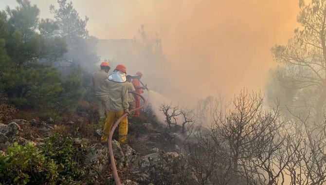 Sağlık Bakanı Koca, Çanakkale'deki orman yangınından 83 kişinin etkilendiğini açıkladı