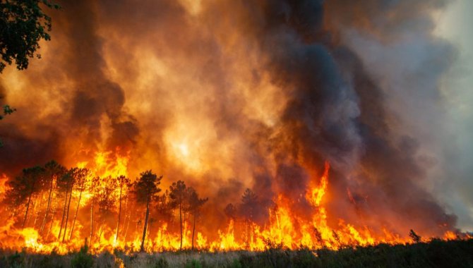Kütahya'daki orman yangınına müdahale ederken yaralanan iki personel hayati tehlikeyi atlattı