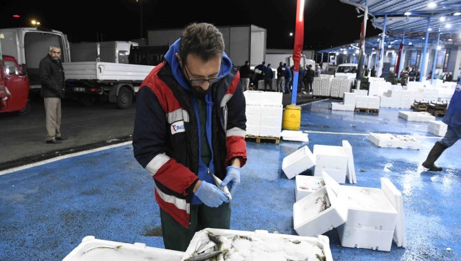 Ankara Büyükşehir Belediyesince balık halinde hijyen denetimleri başladı