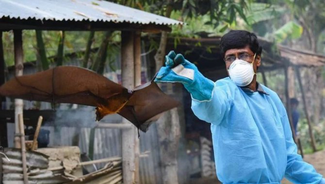 Hindistan'da son dönemde ortaya çıkan Nipah virüsü yeni küresel salgın endişesi yarattı