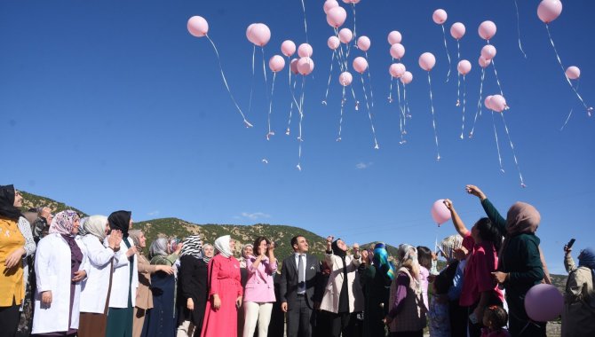 Bitlis'te "Meme Kanseri Farkındalık Ayı" etkinliği düzenlendi