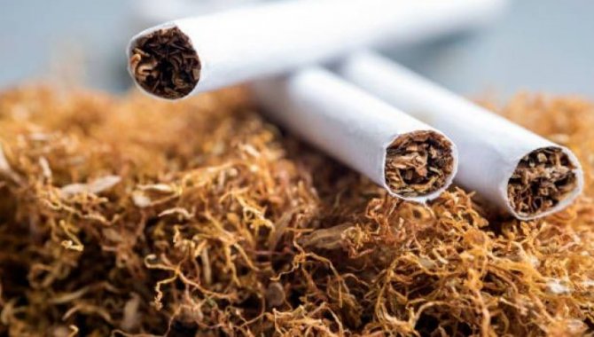 Tütün Kullanımı Akciğer Kanserine Sebep Oluyor